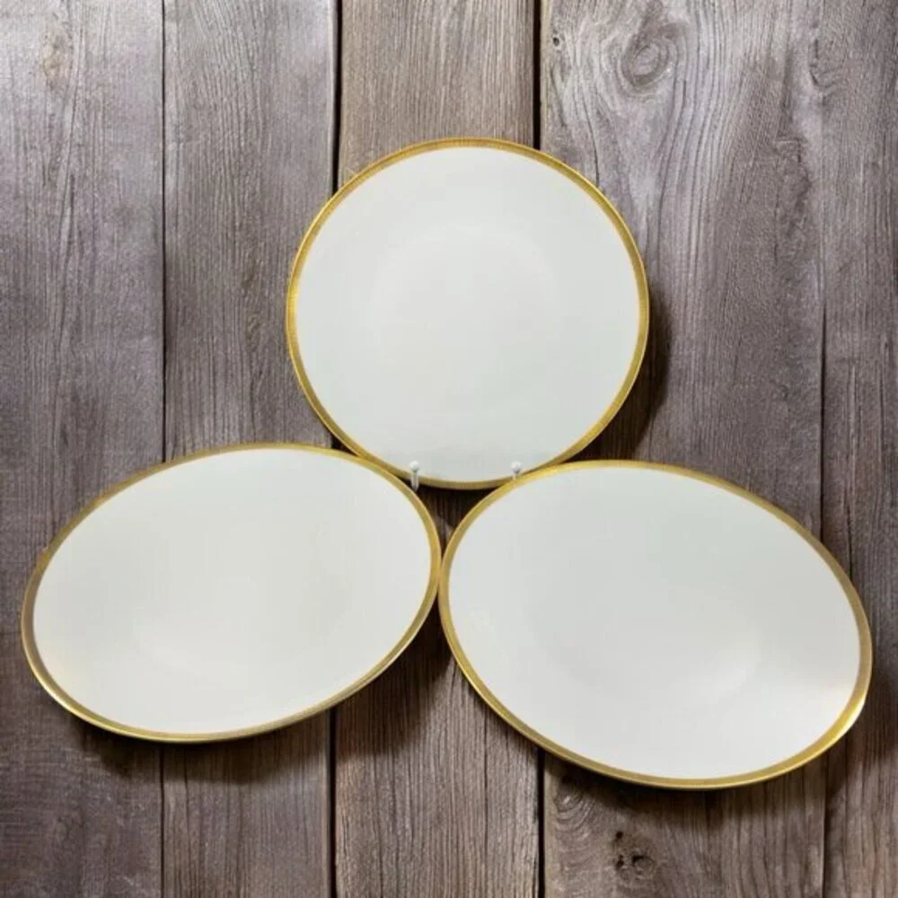 VTG Rosenthal Germany 3680 White Gold Band Black Lines Dish Plate 9.75Inch Set 4